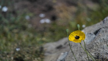 1092583