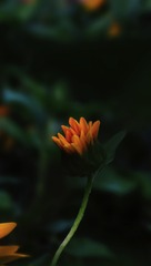 140345