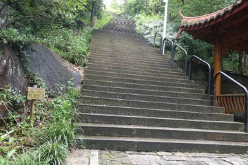 249194