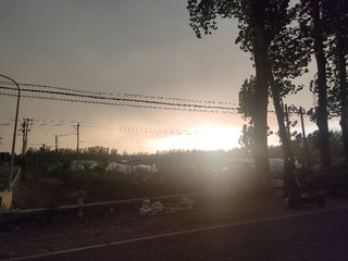 1000028071
