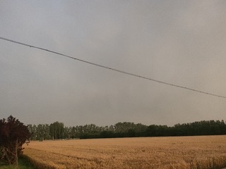 1000028078