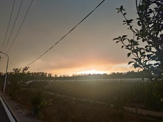 1000028073