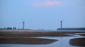 1000054142