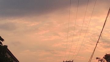 1296024