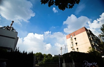 _MG_6815 