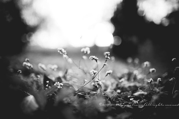 IMG_6576-
