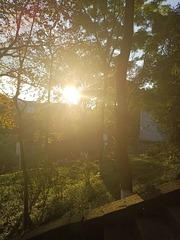 209053