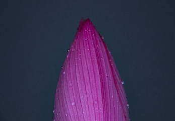 1000087650