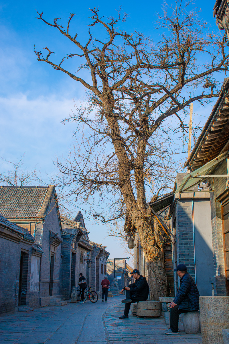 斜阳老树寻常巷陌