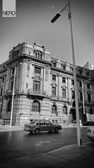 DSC08479.jpg