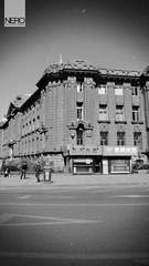 DSC08487.jpg