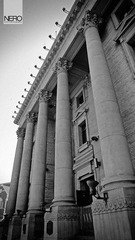 DSC08501.jpg