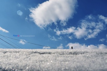 P1000891.jpg