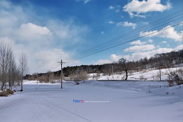 P1000914.jpg