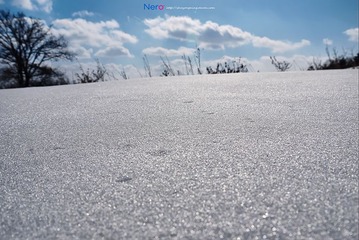 P1000936.jpg