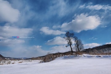 P1000967.jpg