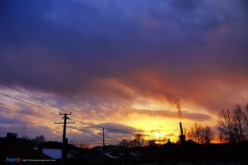 P1010421.jpg