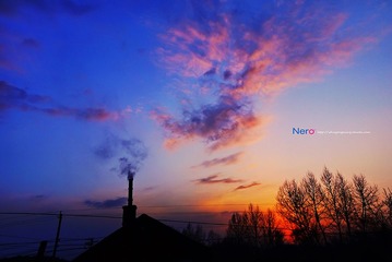 P1010894.jpg