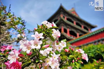P1030043.jpg