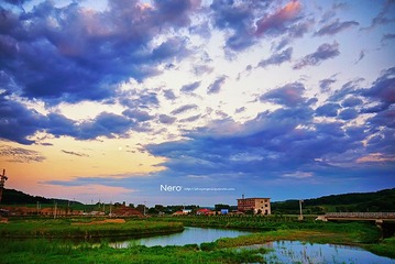 P1030734.jpg