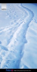 雪路