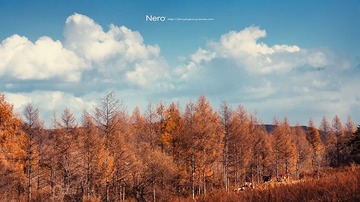 P1060296