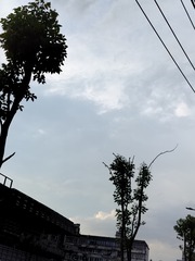 1000007422