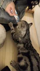 74299
