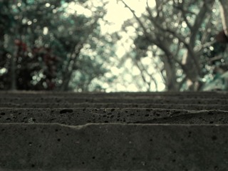 DSCN0720_副本.jpg