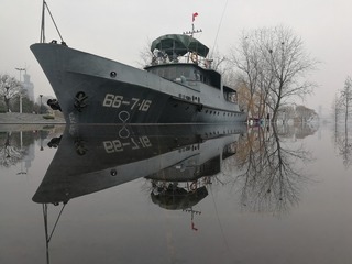 55136