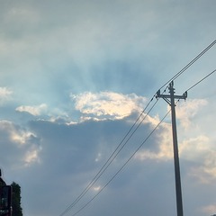 1000082434