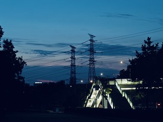 1000014534