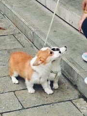 1000006751