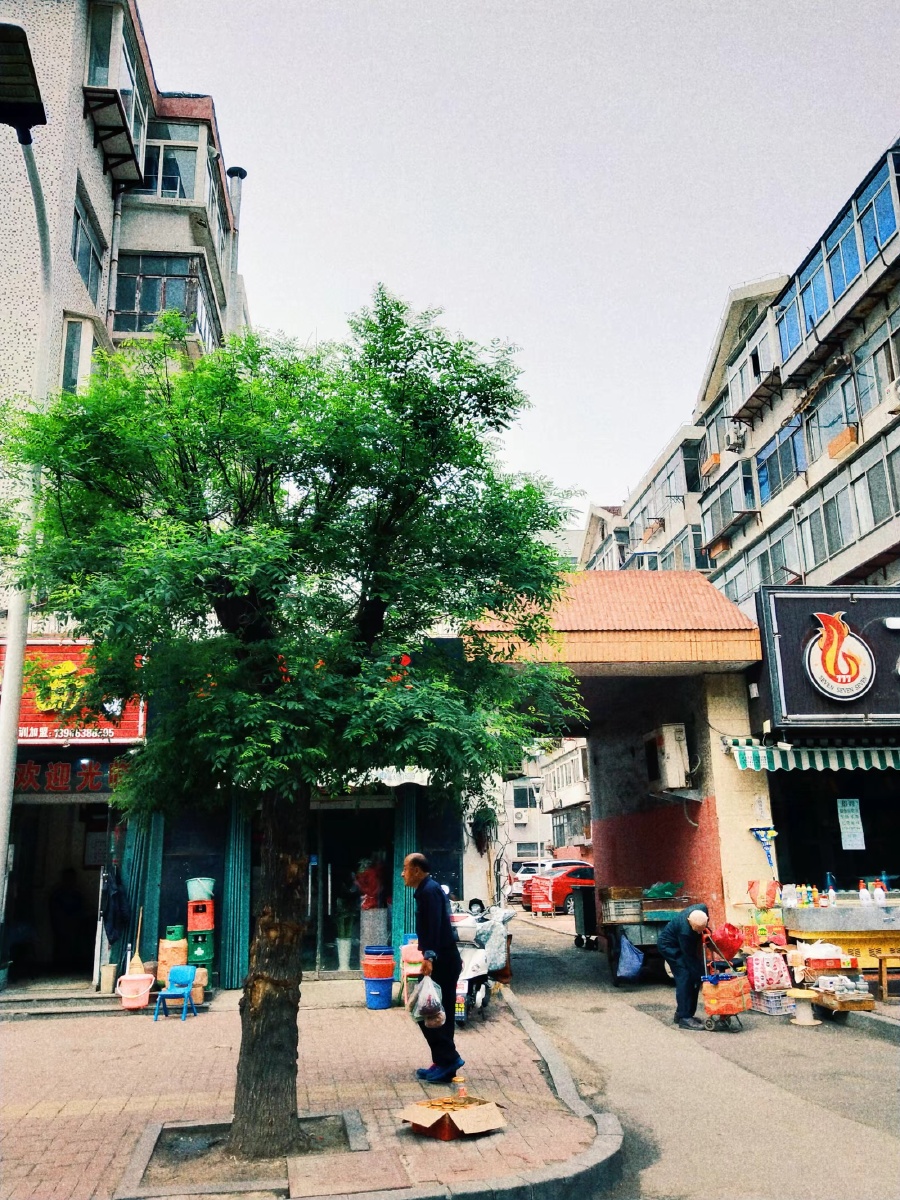 烟台市芝罘区街道