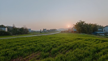 265415