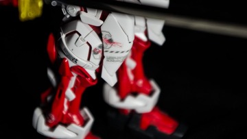_IGP6084.jpg
