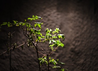 1000062873