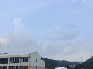 1000007598