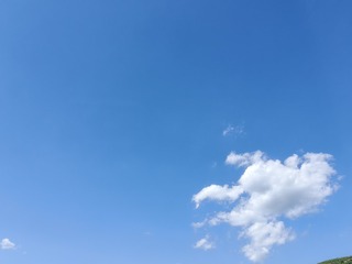 1000007482