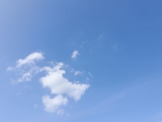 1000007452
