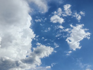 1000006079