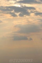 1000109560