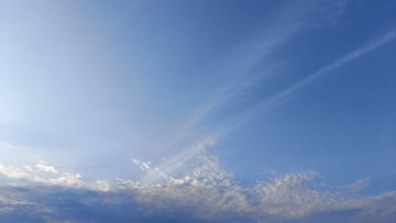 1000020073