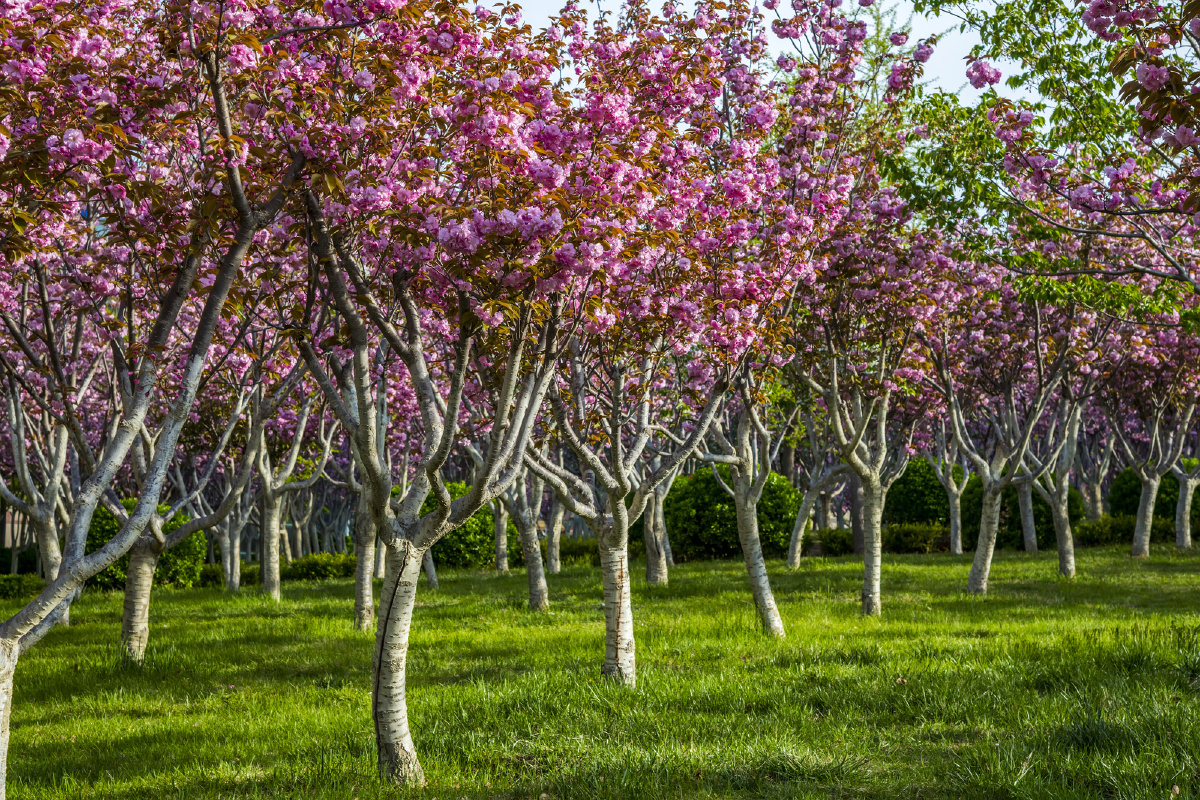 推开春天的大门