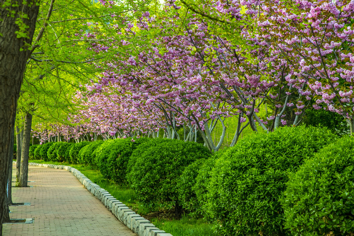 推开春天的大门