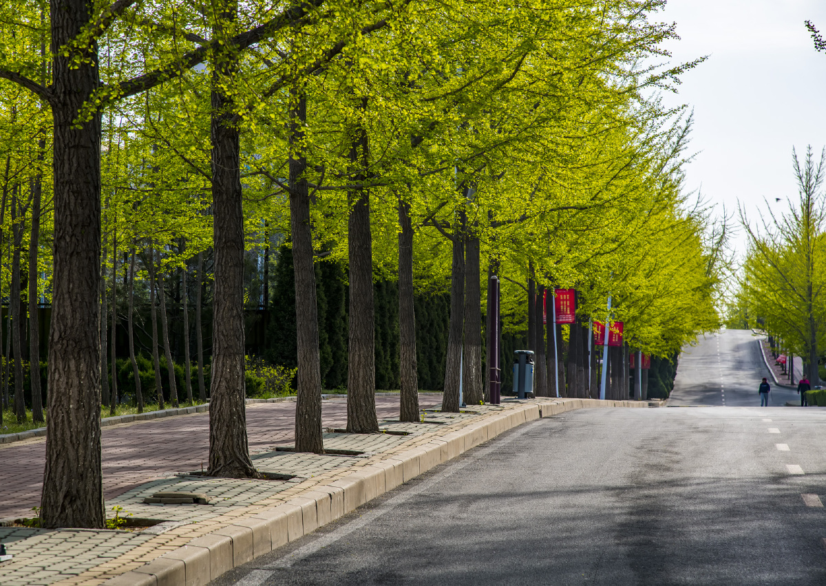 推开春天的大门