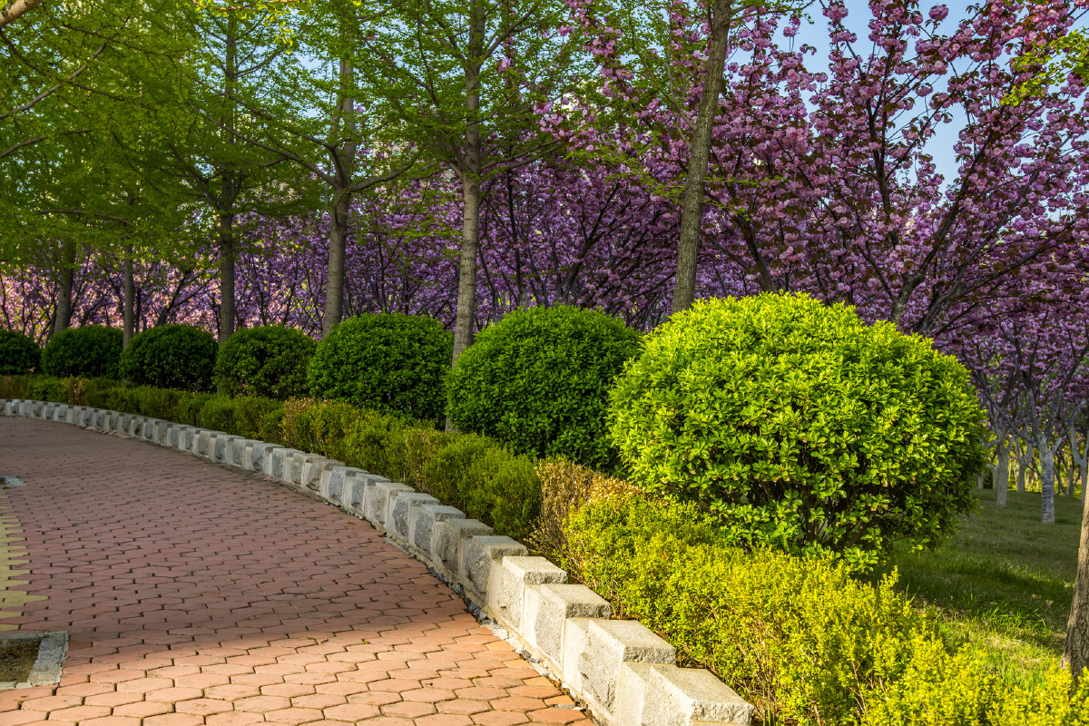推开春天的大门