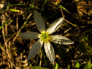 R0011350