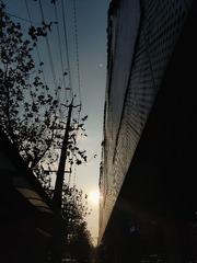 1000011076