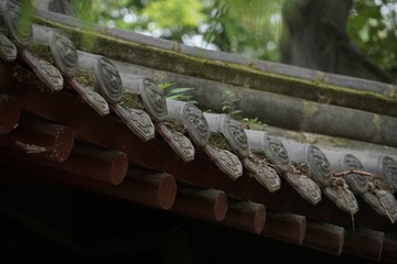 1000082765